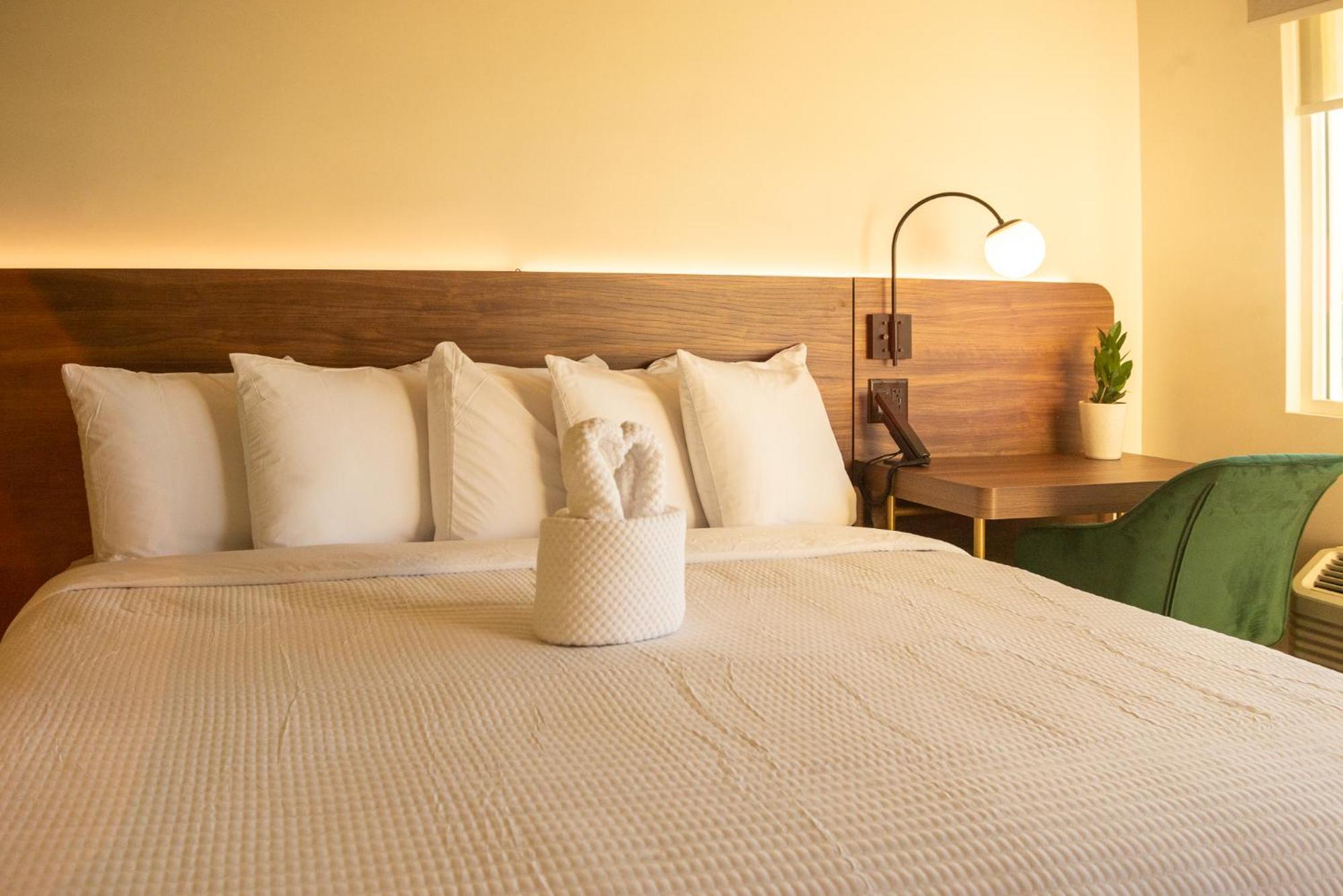The Alice Hotel 투산 외부 사진