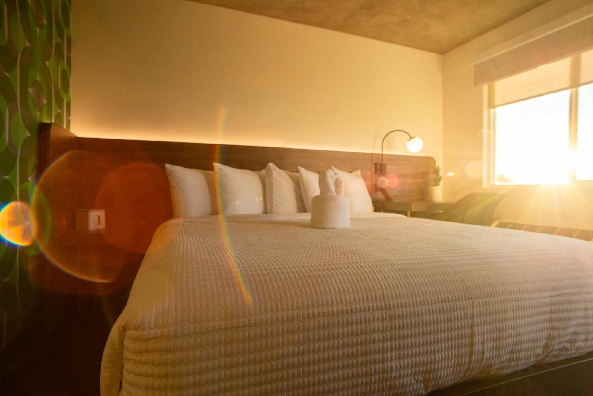 The Alice Hotel 투산 외부 사진