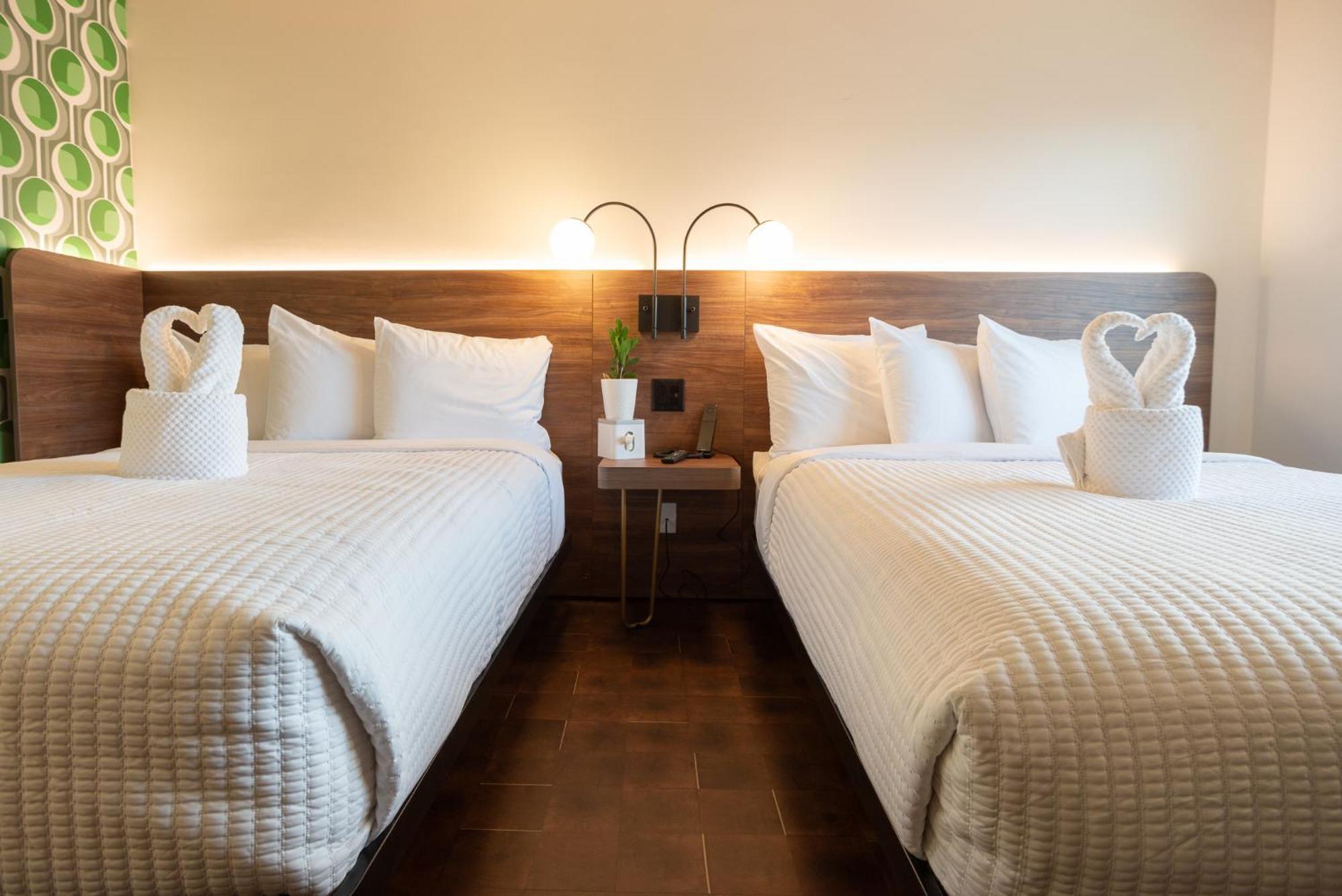 The Alice Hotel 투산 외부 사진